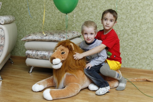 дети и животные