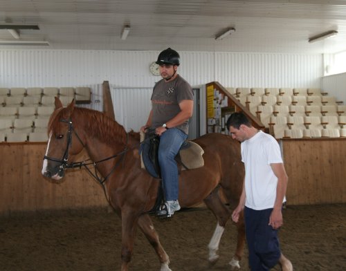 конюшни кмв
