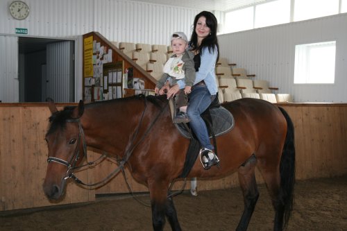 конюшни кмв