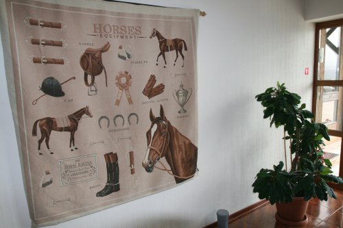 снаряжение для лошади