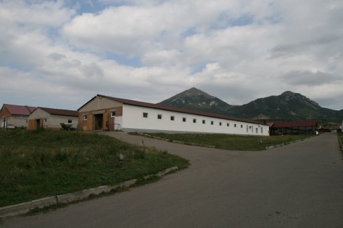 конноспортивный клуб бештау